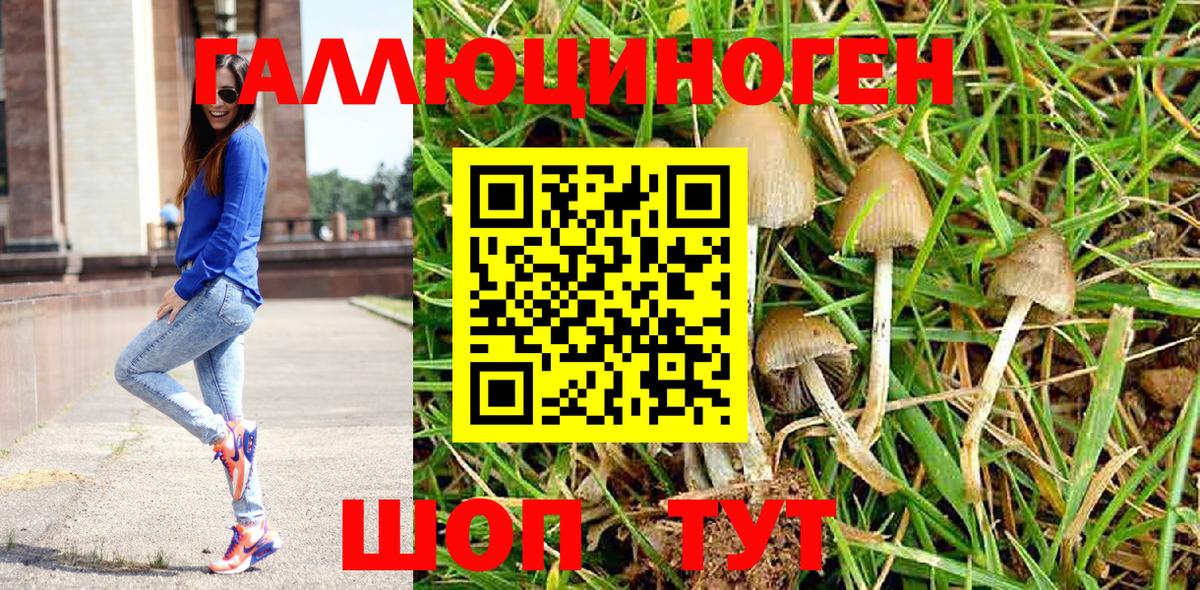 Псилоцибиновые грибы MAGIC MUSHROOMS  Вход с VPN  Радужный 